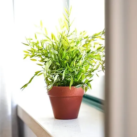 Apartment Casinhas Da Liberdade I - 1 Min To The