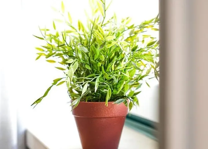 Διαμέρισμα Casinhas Da Liberdade I - 1 Min To The